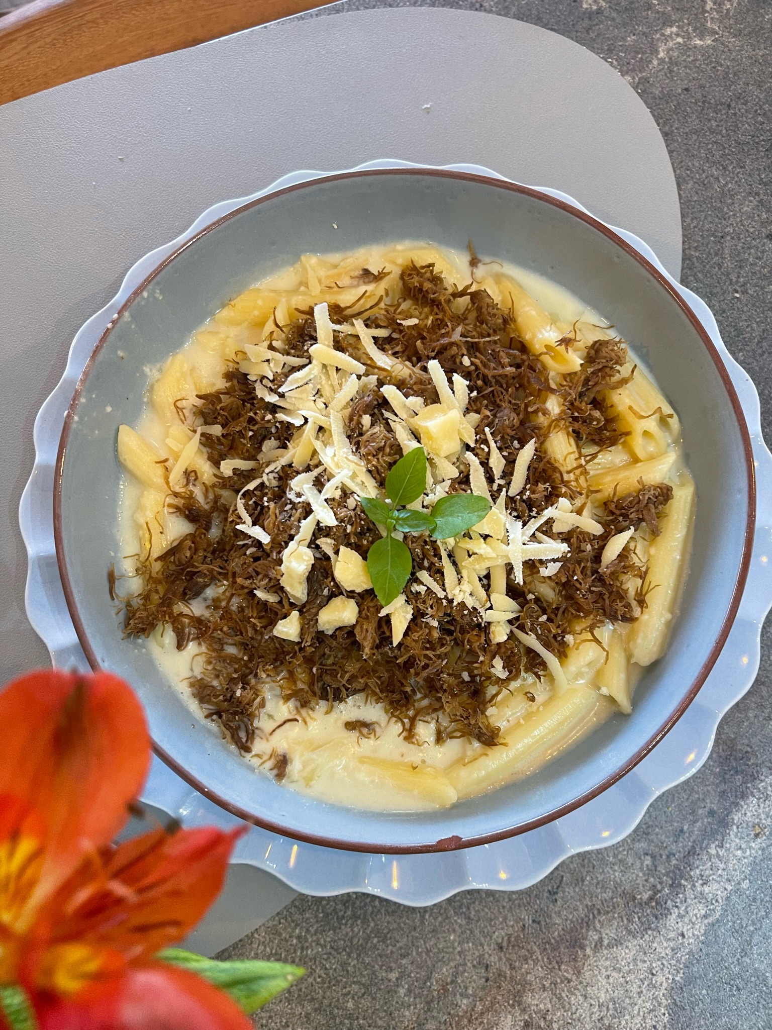 Massa com carne de sol